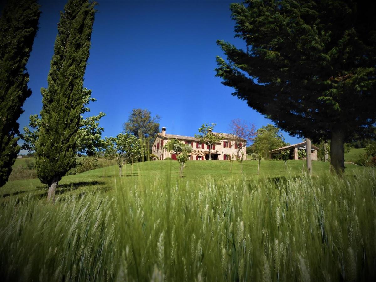 Quelli Del Picchio Bed and Breakfast Cupramontana Buitenkant foto