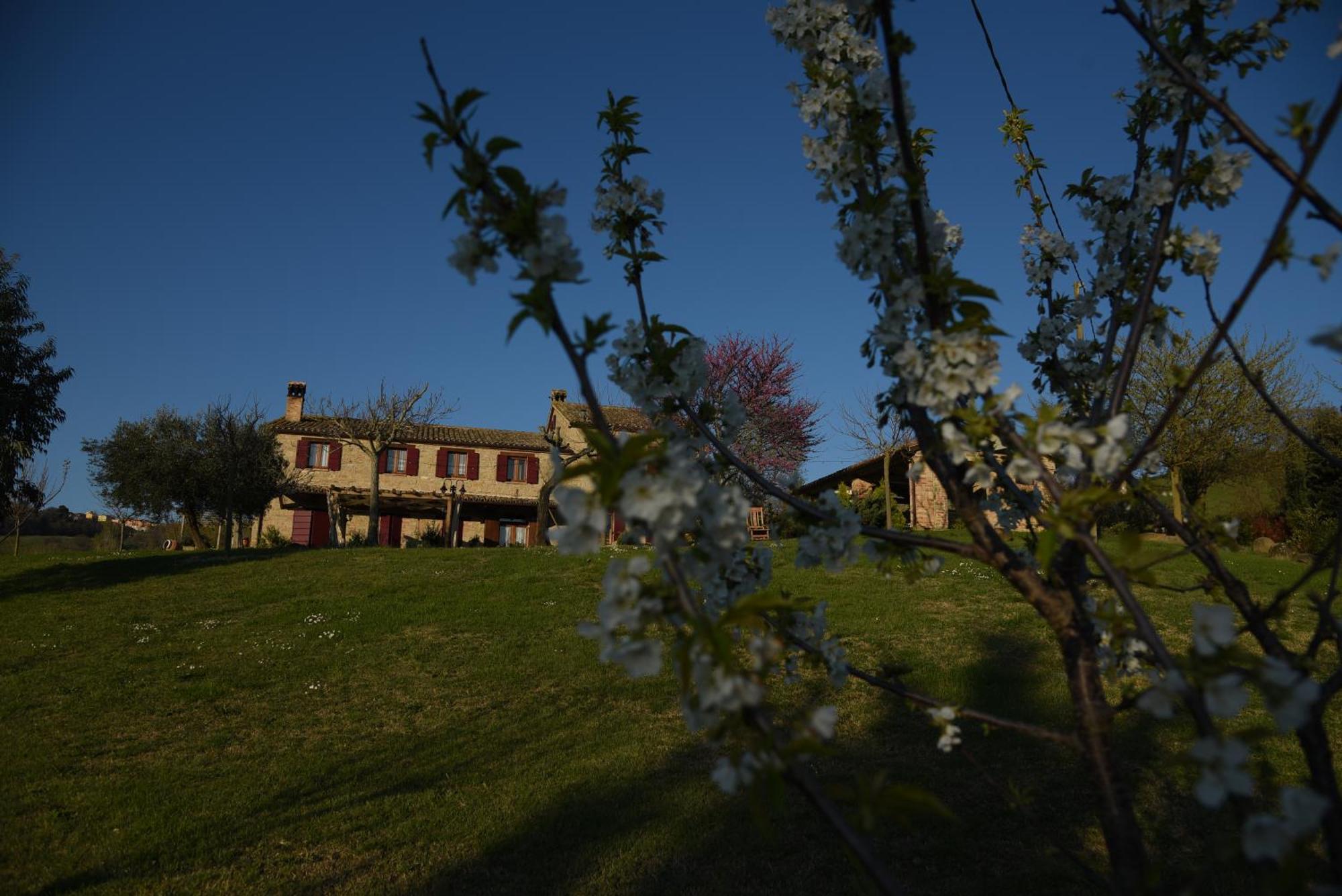 Quelli Del Picchio Bed and Breakfast Cupramontana Buitenkant foto